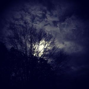 Meet your Posher, Tonja